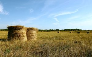 Программа поддержки лпх в краснодарском крае