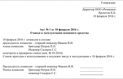 Приказ руководителя о вводе объекта в эксплуатацию